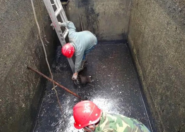 �Ͼ�����������